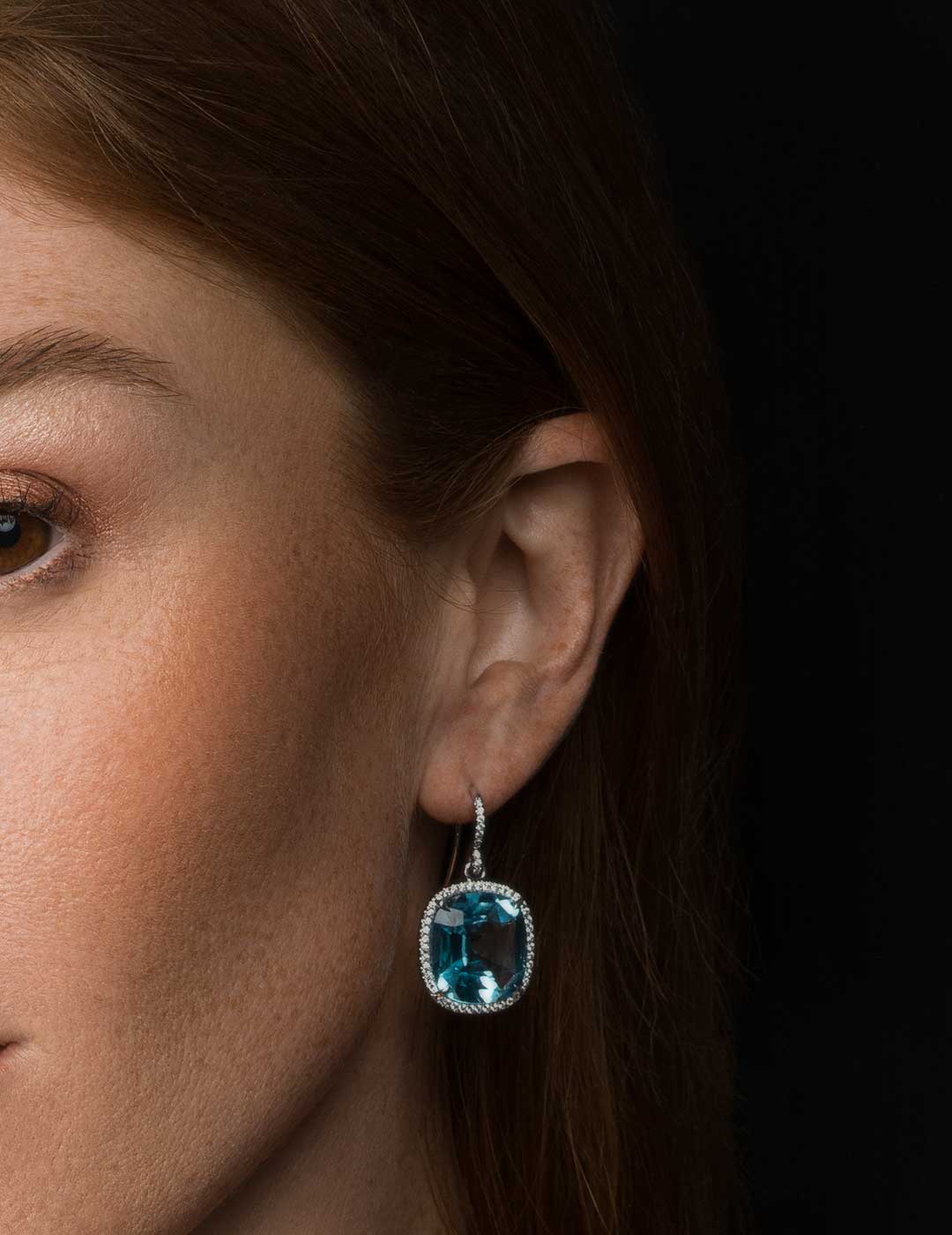 Arden-IceCube-BlueTopaz-ER-2