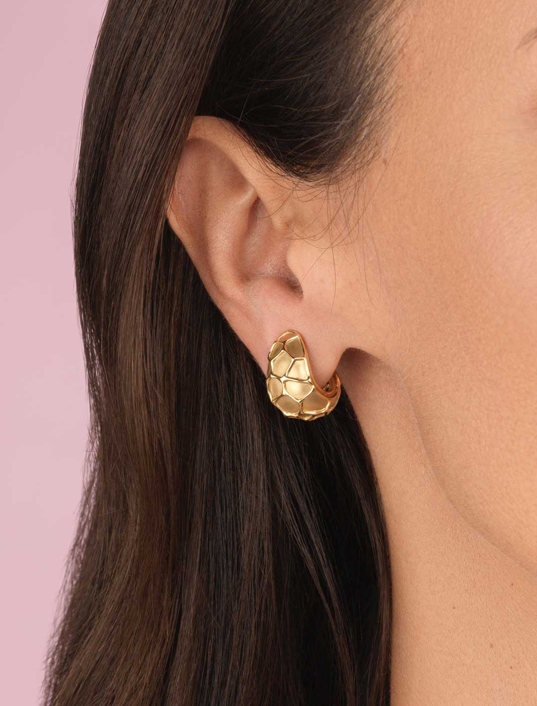 Honeywood-Loop-ER-All-Gold-1a