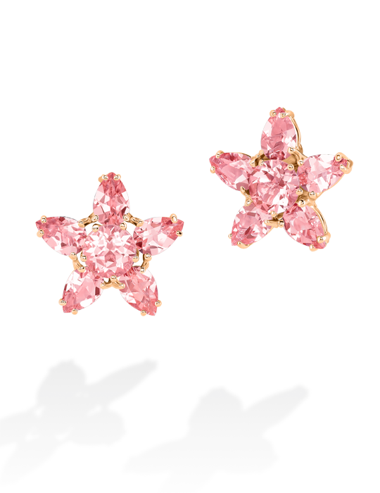 1b-Pink-Tourm-Stars