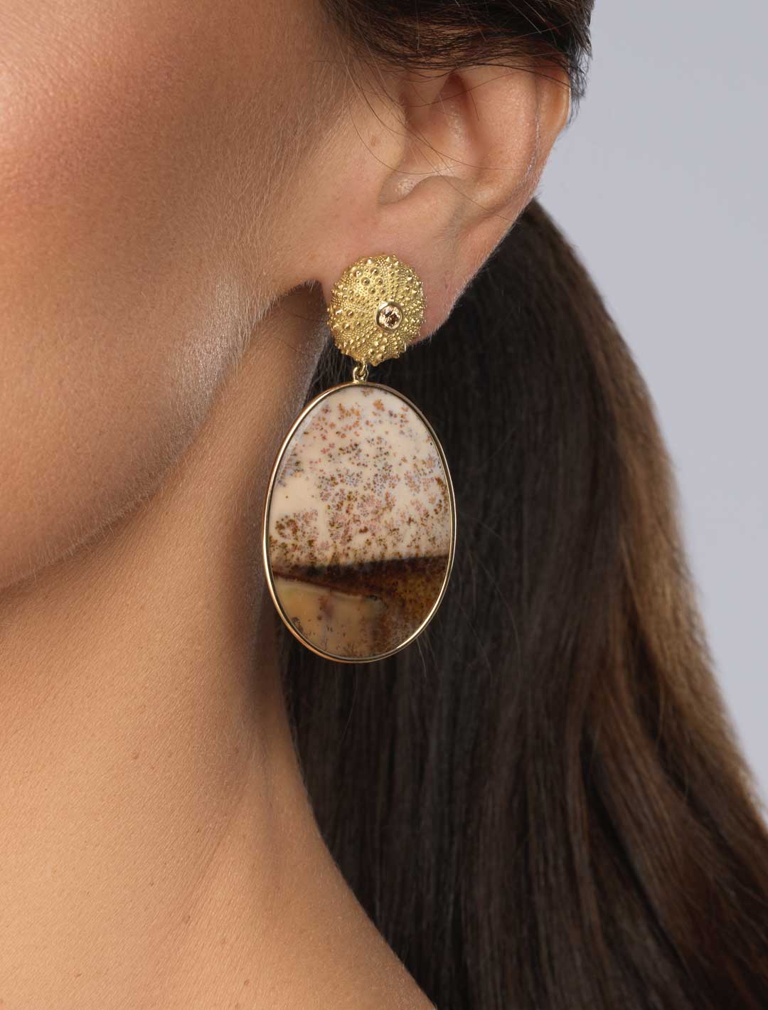 Urchin-Drp-Agate-ER-1a