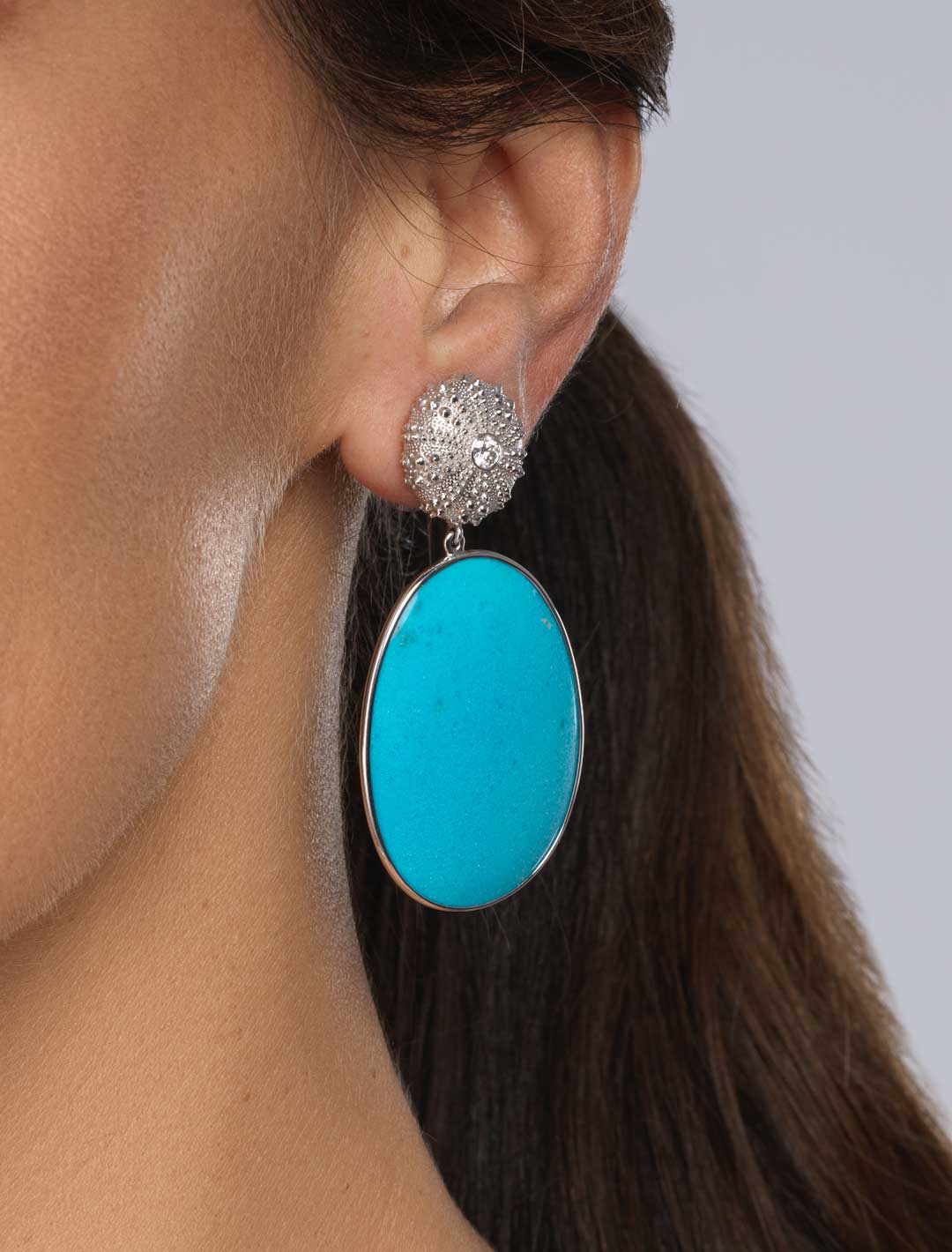 Urchin-Drp-Nacozari-Turq-ER-1a