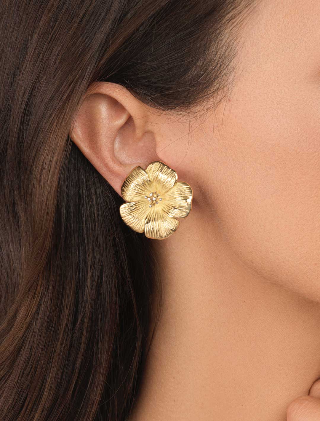 Hibiscus-YG-Diam-ER-1a