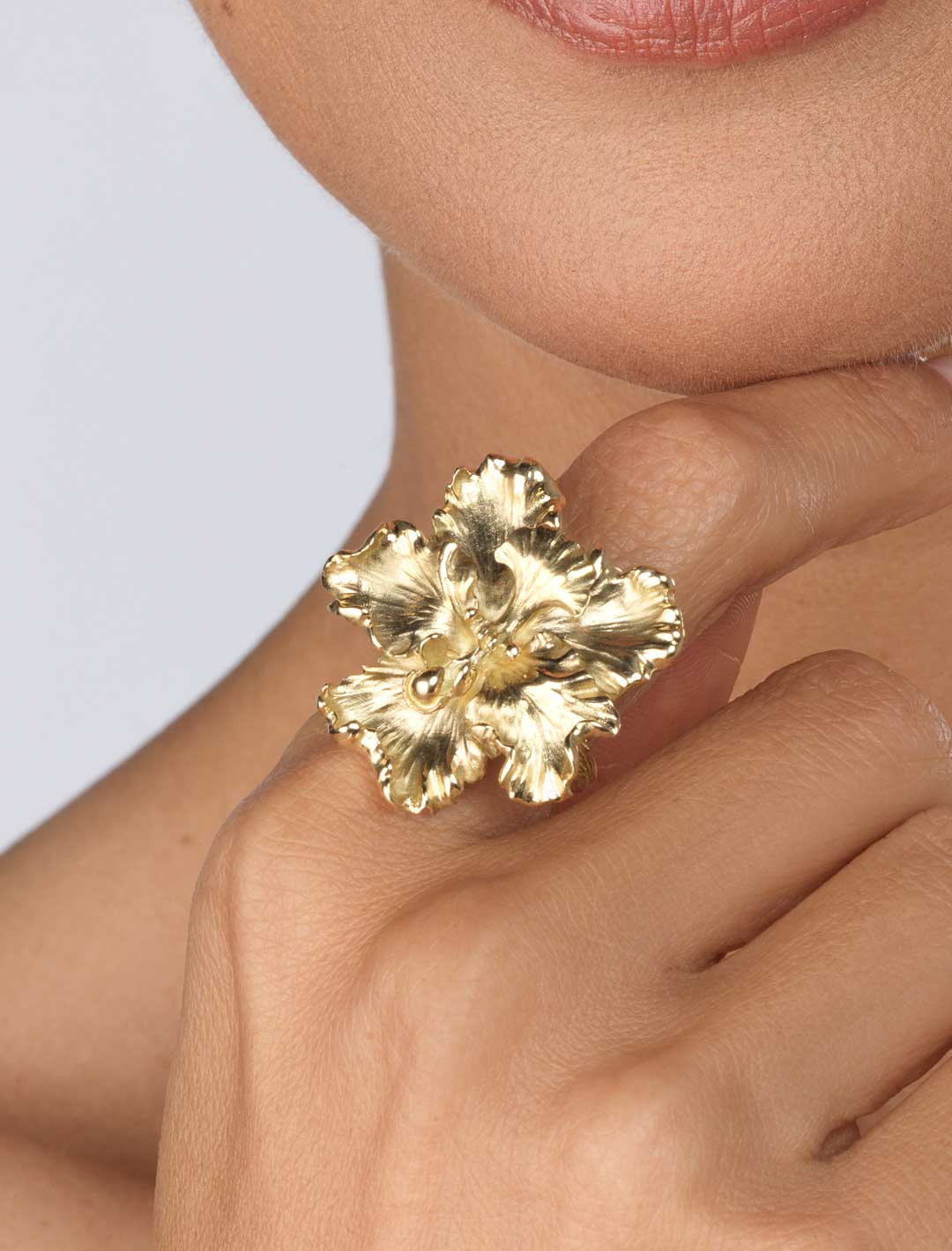 Otoglossum-YG-Ring-1a