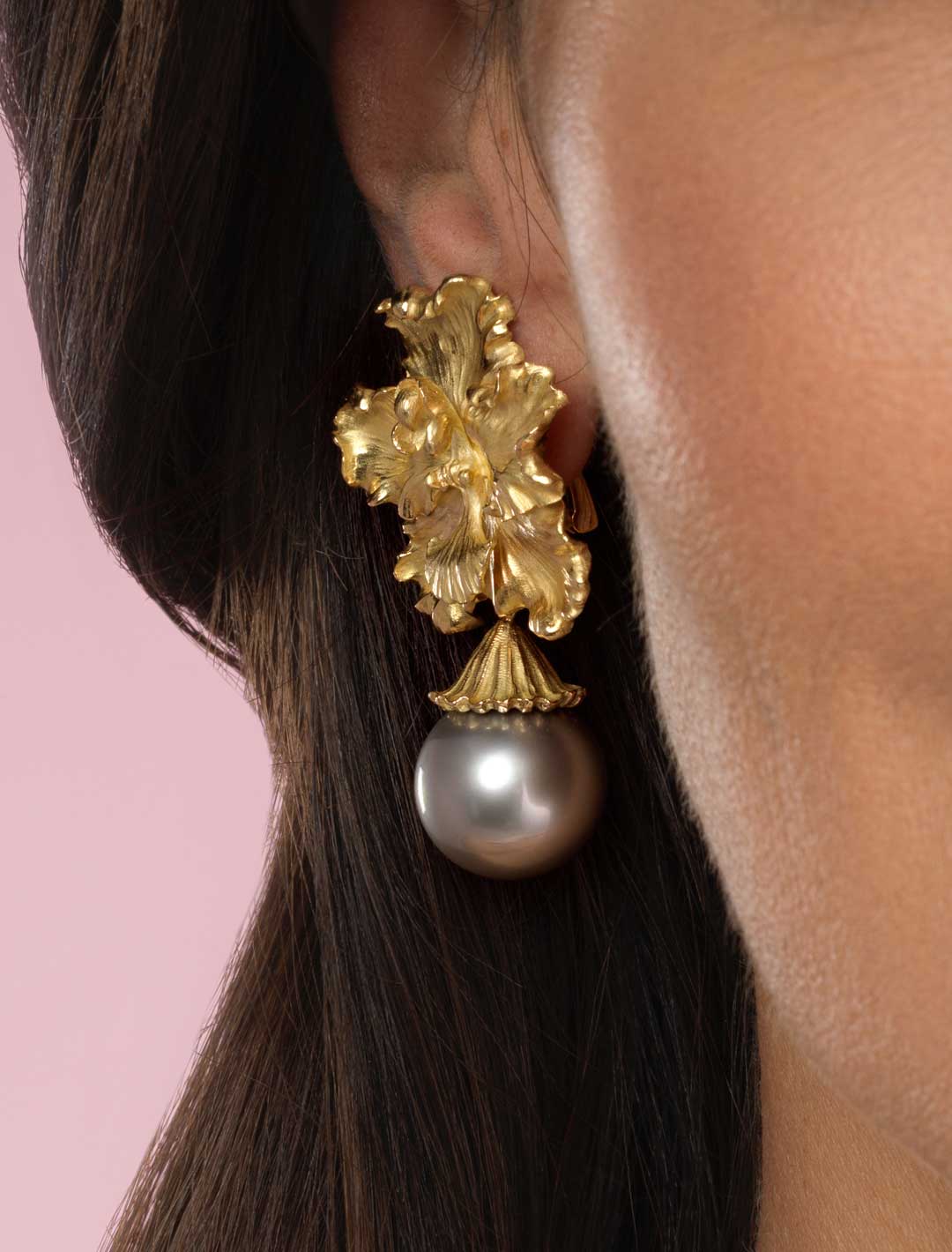 Otoglossum-YG-Tah-Drp-ER-1a