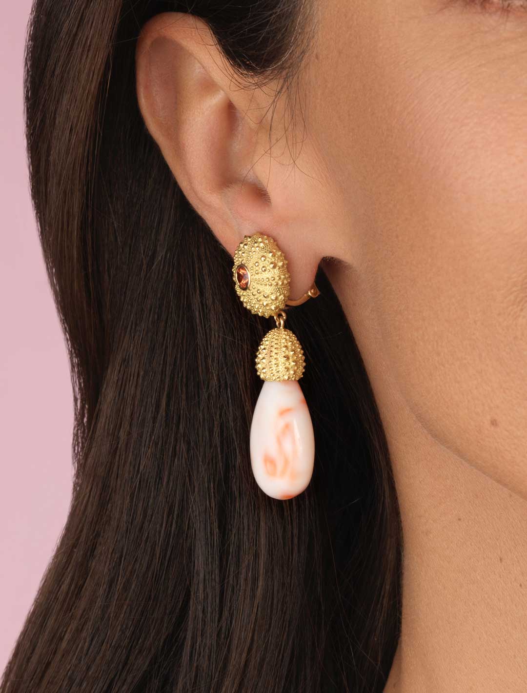 Urchin-Drp-MottledCoral-ER-1a