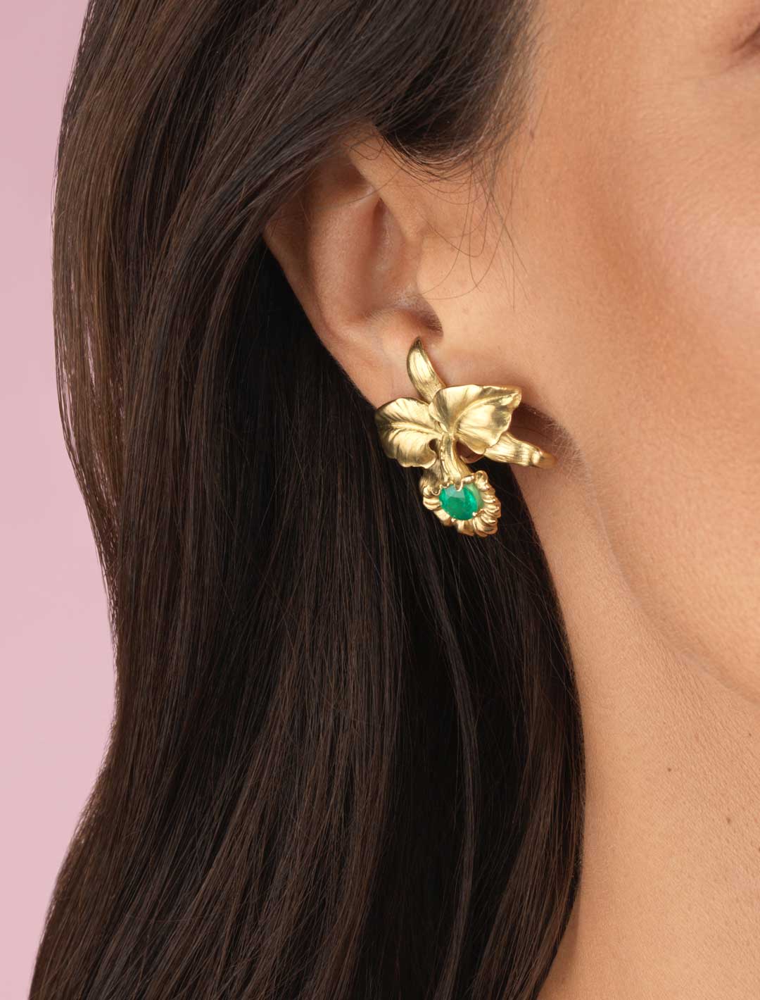 Cattleya-Sm-ER-Emerald-1a