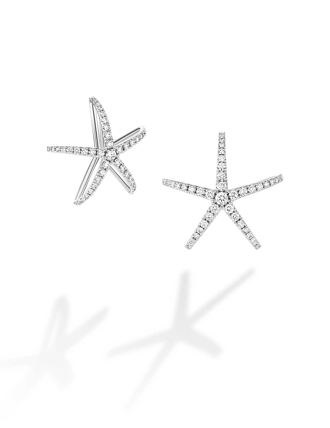 Constellation-SuperNova-1