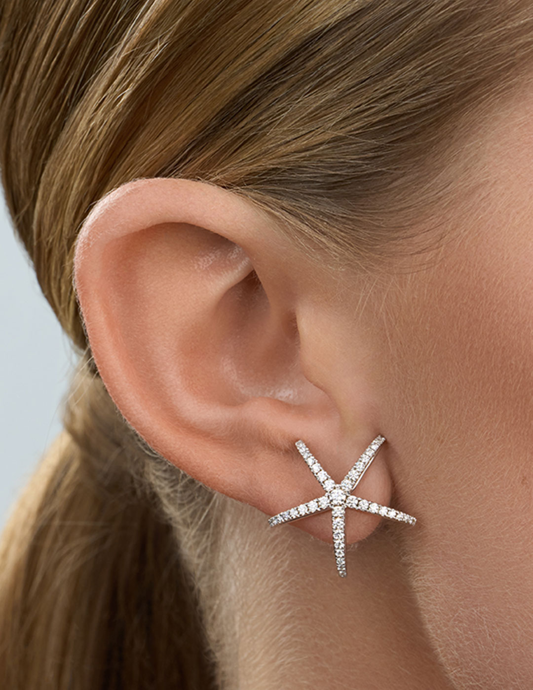 Constellation-SuperNova-3