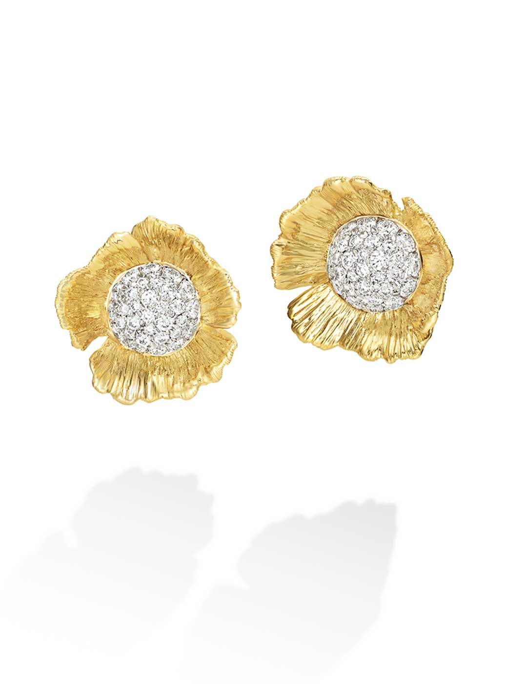 Anemone-YG-WD-ER-(1)