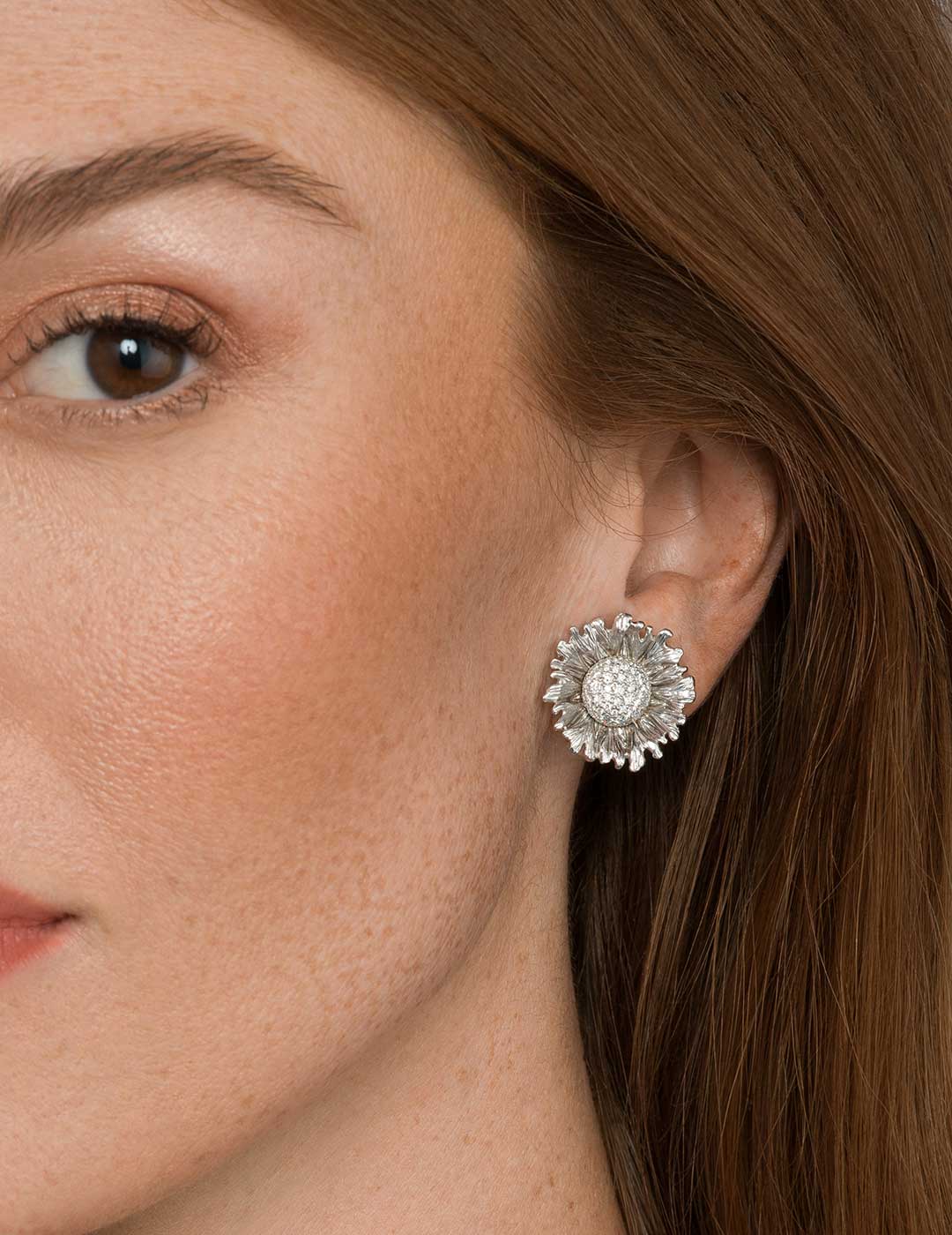 Bachelor-Button-WG-WD-ER-2