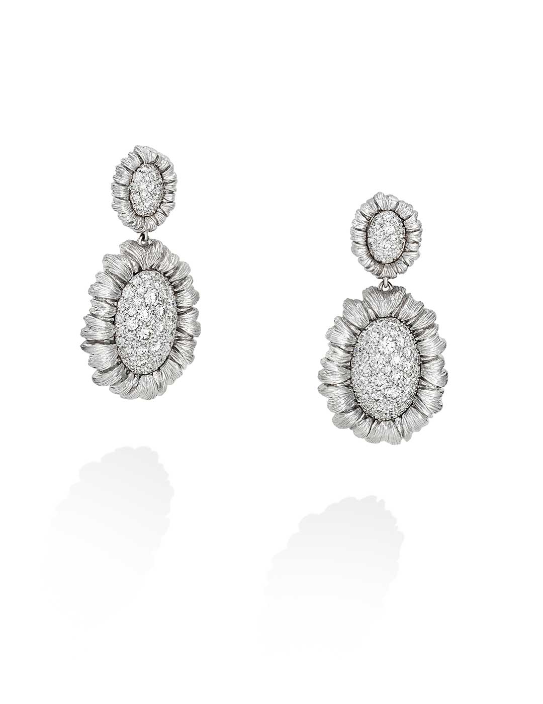 Nigella-SmOvl-LgOvl-WG-WD-ER